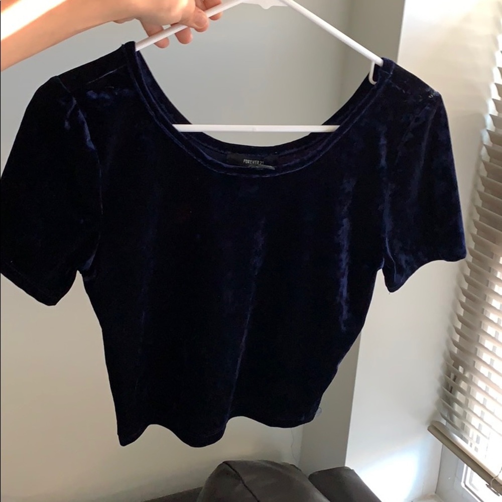 Velvet Crop Top